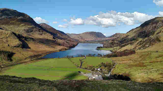 lakeland view
